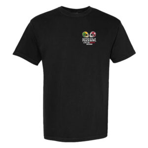 Indiana Hoosiers Peach Bowl Stadium Match Up T-Shirt