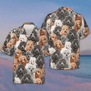 Poodles In Different Colors Hawaiian Shirt Men's Beach Button Up Gifts For Dog Owners