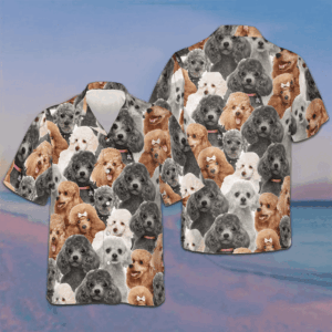 Poodles In Different Colors Hawaiian Shirt Men's Beach Button Up Gifts For Dog Owners