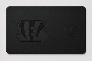 Cincinnati Bengals Classic Logo Mouse Pad  NFL Fan Desk Mat
