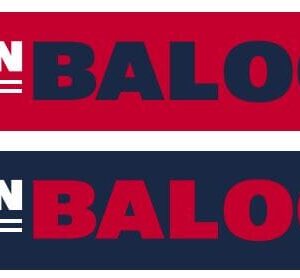 USMNT - Folarin Balogun Graphic Scarf - Fan Winter Accessory
