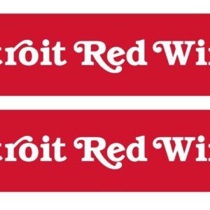 National Hockey League Detroit Red Wings Alt Graphic Scarf - Hockey Fan Winter Accessory