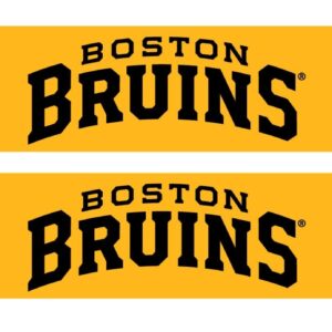 National Hockey League Boston Bruins Alt Graphic Scarf - Hockey Fan Winter Accessory