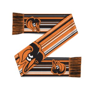 Unisex Baltimore Orioles Hyper Stripe Big Logo Graphic Scarf for Sports Fans
