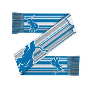 Unisex Detroit Lions Hyper Stripe Big Logo Graphic Scarf for Sports Fans