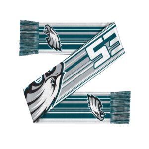 Unisex Philadelphia Eagles Hyper Stripe Big Logo Graphic Scarf for Sports Fans