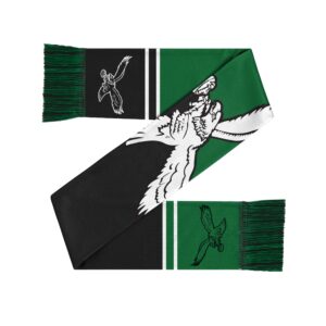 Unisex Philadelphia Eagles 2026 Colorblock Cropped Big Logo Graphic Scarf for Sports Fans