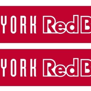 New York Red Bulls Primary Graphic Scarf - Fan Winter Accessory