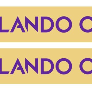 Orlando City Primary Graphic Scarf - Fan Winter Accessory
