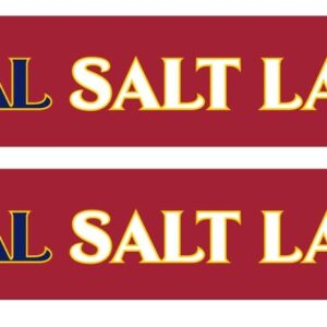 Real Salt Lake Primary Graphic Scarf - Fan Winter Accessory