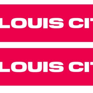 St. Louis City Primary Graphic Scarf - Fan Winter Accessory
