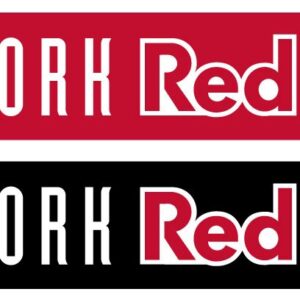 New York Red Bulls Two Tone Graphic Scarf - Fan Winter Accessory