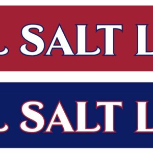 Real Salt Lake Two Tone Graphic Scarf - Fan Winter Accessory