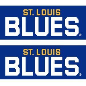 National Hockey League St Louis Blues Alt Graphic Scarf - Hockey Fan Winter Accessory