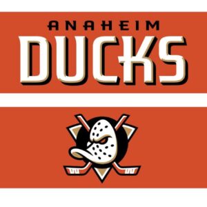 Anaheim Ducks Jersey Hook Graphic Scarf - Fan Winter Accessory