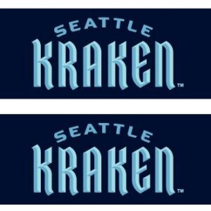 Seattle Kraken Bar Graphic Scarf - Hockey Fan Winter Accessory