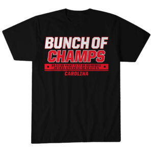 Unisex Carolina Hurricanes Hockey Bunch of Champs Graphic Shirt for Hockey Fans