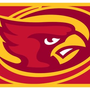 Iowa State Cyclones Bold Design License Plate for College Sports Fans