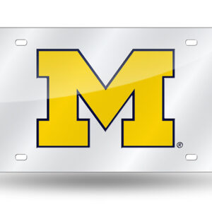 Michigan Wolverines Gray 2026 License Plate Frame for College Sports Fans